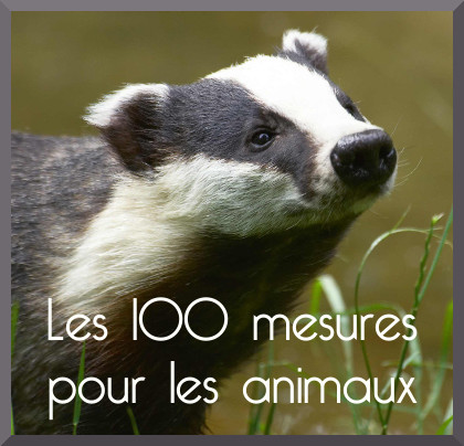 Lien vers la pages des 100 mesures pour les animaux