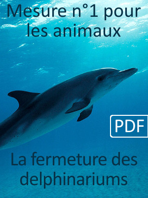 Télécharger le document PDF : La fermeture des dolphinariums, mesure n°1 pour les animaux