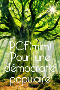 Lien vers le dossier PCF(mlm)/Pour une démocratie populaire en ligne