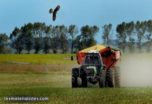 Un tracteur dans un champs de soja en Argentine