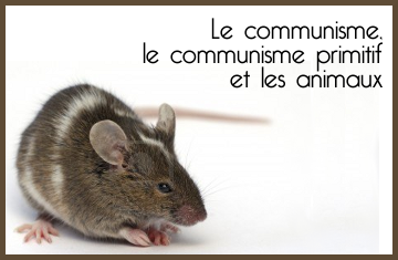 Lien vers l'article : Le communisme, le communisme primitif et les animaux